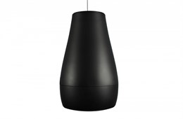 Biamp P6BLACK - Пассивная акустическая система 912.0921.900/911.0921.900