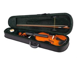 Fleet FLT-VP4/4 Скрипка в комплекте FLT-VP4/4