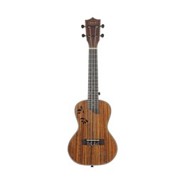SQOE SQ-UK-24I комплект укулеле концерт и аксессуары SQ-UK-24I