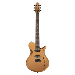 Covenant I-STD 100 gold электрогитара в чехле с аксессуарами I-STD 100 gold
