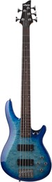 SCHECTER C-5 PLUS OBB - Бас-гитара C-5 PLUS OBB