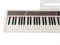 NUX NPK-20-WH Цифровое пианино, белое NPK-20-WH