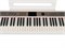 NUX NPK-20-WH Цифровое пианино, белое NPK-20-WH