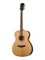 P620-WCASE-NAT Акустическая гитара, с футляром, Parkwood P620-WCASE-NAT - фото 12562
