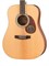 Cort EARTH100-NS Earth Series Акустическая гитара, цвет натуральный матовый EARTH100-NS