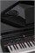 Orla Grand-500-BLACK Цифровой рояль, с автоаккомпанементом, черный (2 коробки) Grand-500-BLACK