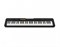 Синтезатор Casio CT-S100 CT-S100 - фото 16634