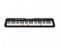 Синтезатор Casio LK-S250 LK-S250 - фото 16643