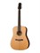 D1SML48NT D1 S ML Nt Акустическая гитара из массива, NewTone D1SML48NT - фото 18081