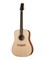 D1SMY45N D1 S MY N Акустическая гитара из массива, NewTone D1SMY45N - фото 18108