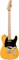 SQUIER Sonic Telecaster, цвет Butterscotch Blonde Электрогитара Sonic Telecaster, цвет Butterscotch Blonde - фото 21426