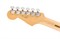 FENDER Player Stratocaster Anniversary 2-Color Sunburst Электрогитара Player Stratocaster Anniversary 2-Color Sunburst