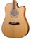 Parkwood P660-WCASE-NAT Электроакустическая гитара, дредноут с вырезом, с футляром P660-WCASE-NAT