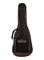 Parkwood S-Mini ADN Акустическая гитара, дредноут 3/4, с чехлом S-Mini
