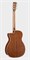 Cort L100OCF-CED Luce Series Электроакустическая гитара, черная L100OCF-CED - фото 22294 Cort L100OCF-CED Luce Series Электроакустическая гитара, черная L100OCF-CED - фото 22294
