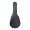 FGA-01 Футляр-кейс для акустической гитары, A’fform FGA-01 - фото 22394