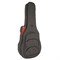 Meridaextrema DTGC гитара акустическая с чехлом DTGC - фото 22658