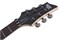 Schecter BANSHEE-6 FR SGR BLK Бас-гитара BANSHEE-6 FR SGR BLK (3856)