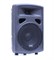FP0210 Пассивная акустическая система, 200Вт, Soundking FP0210 - фото 23879