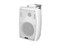 DS-541K Громкоговоритель настенный, 15Вт, TADS DS-541K - фото 27871