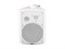 DS-503 Громкоговоритель настенный, 30Вт, TADS DS-503 - фото 27878