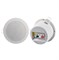 YC-301 Громкоговоритель потолочный, 1.5/3Вт, Ace Audio YC-301 - фото 27900