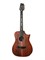 LUXE-NYLON-WCASE-BR Frank Gambale Luxe Series Классическая гитара со звукоснимателем, с чехлом, Cort LUXE-NYLON-WCASE-BR - фото 31109