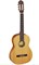 R131 Family Series Pro Классическая гитара, размер 4/4, матовая, Ortega R131 - фото 31329