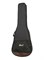 Cort AC100DX-OP-bag Classic Series Классическая гитара, цвет натуральный, с чехлом AC100DX-OP-bag