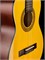 Hora N1010-1/2 Spanish Классическая гитара N1010-1/2 - фото 32155 Hora N1010-1/2 Spanish Классическая гитара N1010-1/2 - фото 32155