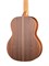 Kremona Sofia-SC Artist Series Классическая гитара Sofia-SC