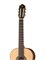 Newtone SCCLASNSPRW Soloist "Concert" Классическая гитара SCCLASNSPRW