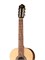 Newtone SCCLASNRW Soloist "Concert" Классическая гитара SCCLASNRW