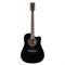 ROCKDALE Aurora D5 C BK Gloss Акустическая гитара Aurora D5 C C BK Gloss - фото 33271