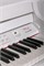 Orla Grand-500-WHITE Цифровой рояль, с автоаккомпанементом, белый (2 коробки) Grand-500-WHITE - фото 33401