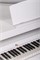 Orla Grand-500-WHITE Цифровой рояль, с автоаккомпанементом, белый (2 коробки) Grand-500-WHITE - фото 33406