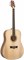 PEAVEY DW 2 - Гитара акустическая DW 2 - фото 34048