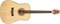 PEAVEY DW-1 w/Bag - Гитара акустическая DW-1 w/Bag - фото 34053