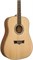 PEAVEY DW-1 w/Bag - Гитара акустическая DW-1 w/Bag