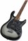 PEAVEY Raptor Custom SLB - Электрогитара Raptor Custom SLB