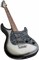 PEAVEY Raptor Custom SLB - Электрогитара Raptor Custom SLB