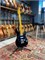 PEAVEY Raptor Custom BLK - Электрогитара Raptor Custom BLK