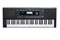 Kurzweil KP110 LB Синтезатор KP110 LB - фото 34601