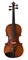 160-1/8 Siena Скрипка студенческая 1/8, Strunal 160-1/8 - фото 34680