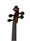 Strunal 160A-3/4 Siena Скрипка студенческая 3/4 160A-3/4