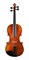 920A-1/2 Ravena Скрипка студенческая 1/2, Strunal 920A-1/2 - фото 34695