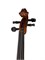 Strunal 160A-1/2 Siena Скрипка студенческая 1/2 160A-1/2