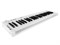 Axelvox KEY49j White MIDI клавиатура KEY49j White - фото 35097