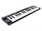 M-audio Keystation Mini 32 MK3 MIDI клавиатура Keystation Mini 32 MK3 - фото 35112