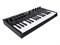 M-audio Oxygen Pro Mini MIDI клавиатура Oxygen Pro Mini - фото 35115